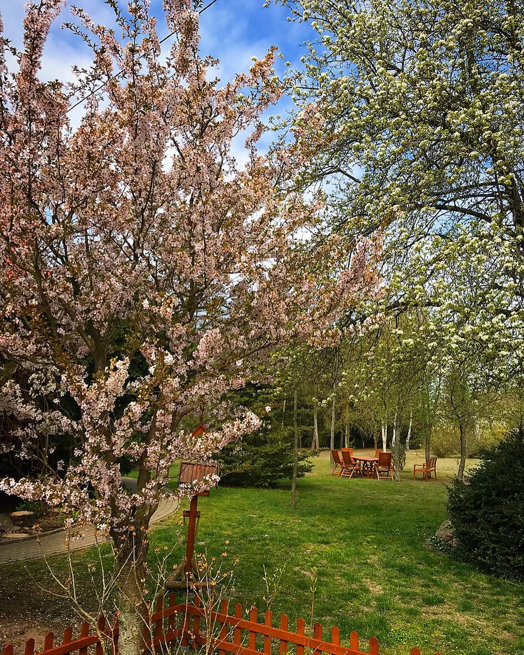 Małgorzata Rozenek - Wielkanoc 2019