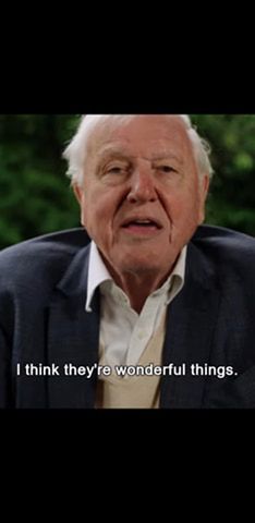 Wywiad dzieci Kate i Williama z sir Davidem Attenborough