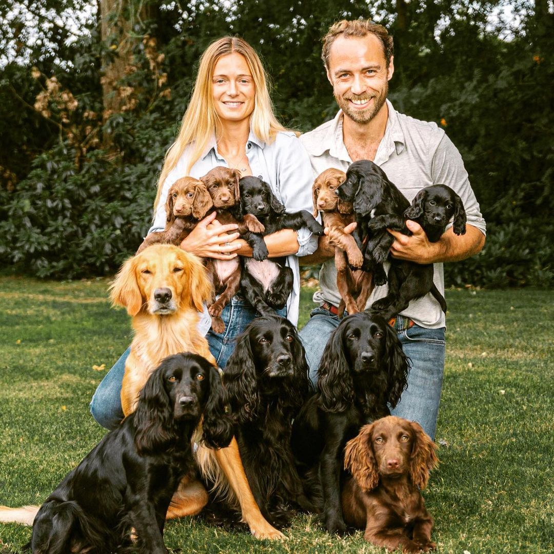 Brat Kate Middleton podarował jej rodzinie szczeniaka
