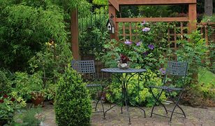 Zasady projektowania małych ogrodów - jakie wybrać rośliny i na co zwrócić uwagę
