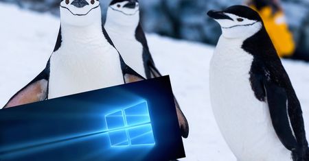 Linux wyprzedził Windowsa w Azure – przyznaje sam Microsoft