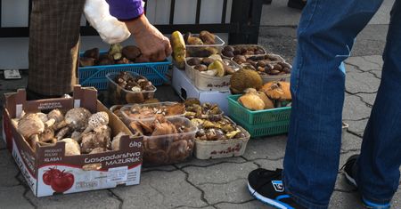 Poszła na bazar. Chciała kupić grzyby. "Kto to widział"
