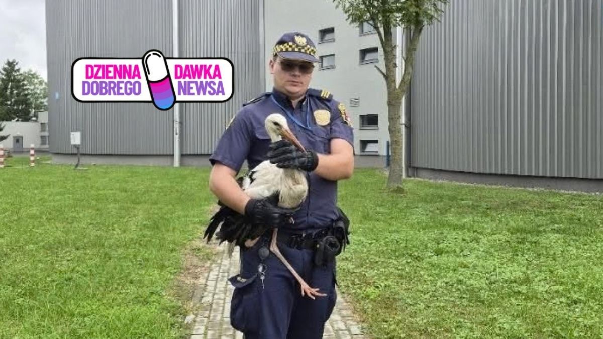 Bezpieczny powrót do natury