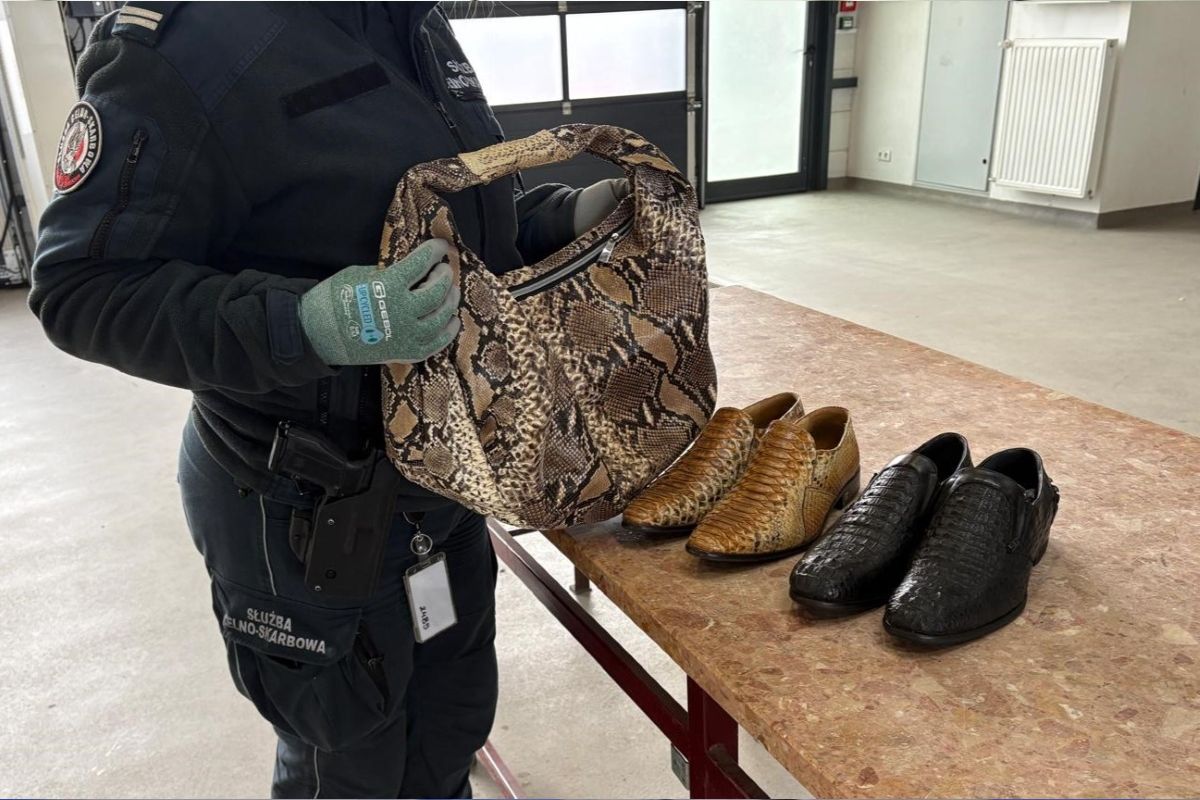 Torebka z pytona, buty z krokodyla. 56-latek próbował wjechać do Polski