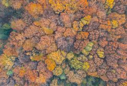 Pogoda na wtorek. Miejscami słabo popada. Duża różnica temperatury
