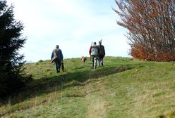 Fatalna pomyłka. Myśliwy pomylił mężczyznę z zającem