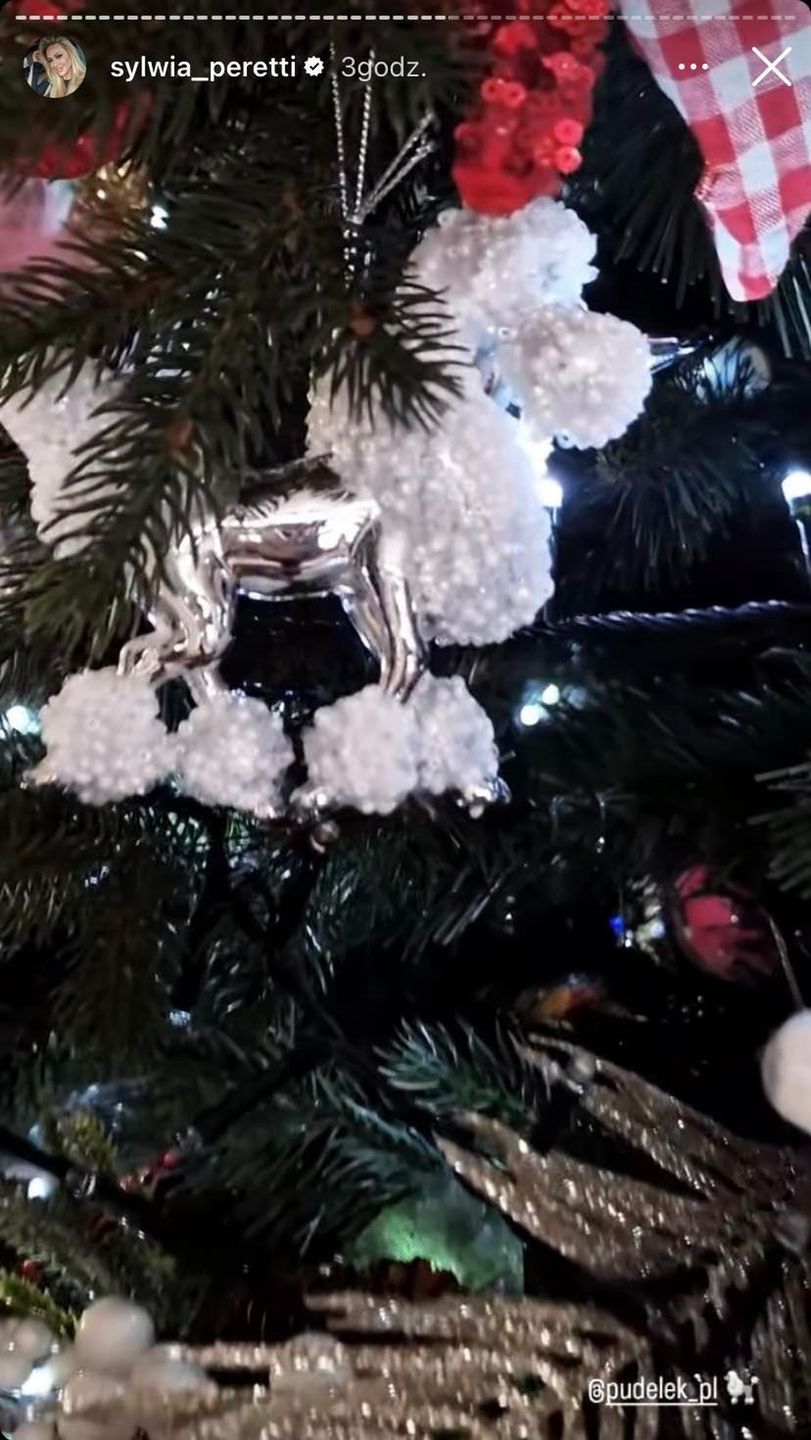 Sylwia Peretti ubrała dom na święta