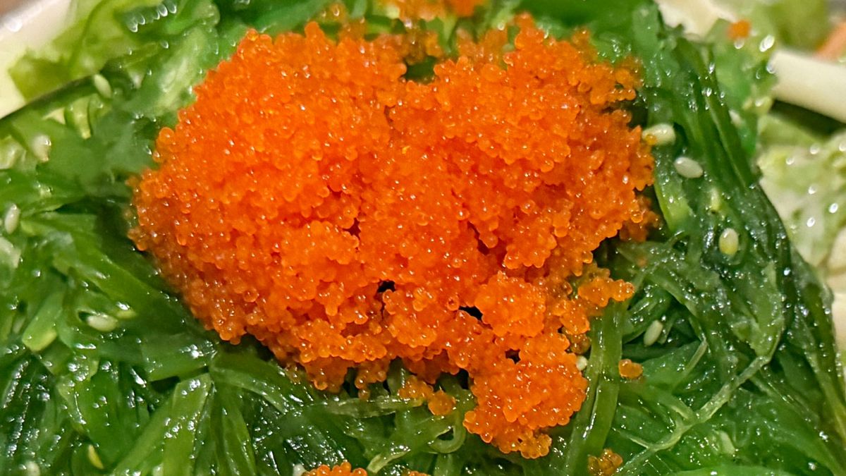 Jedni się nimi zachwycają, inni krzywią z obrzydzeniem