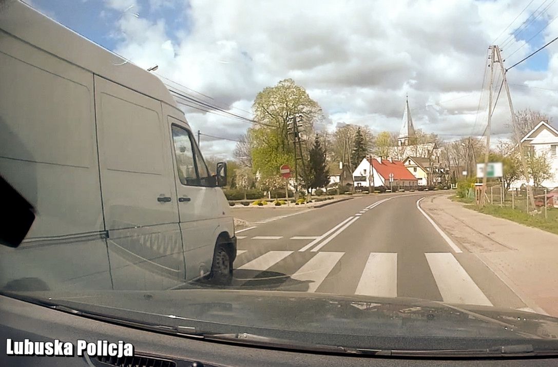 "Święte krowy" na przejściach. Akcja policji pokazała, że są, ale to nie piesi