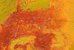 Do Polski wróci lato. Niewiarygodne prognozy synoptyków
