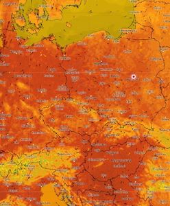 Do Polski wróci lato. Niewiarygodne prognozy synoptyków