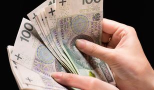 ZUS skonfiskował Aldonie 350 tys. zł składek. Resort pracy wyjaśnia