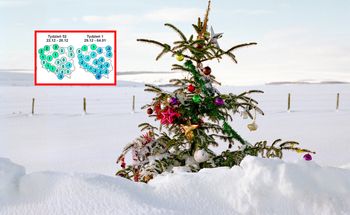 Czy zima zdąży na Boże Narodzenie? Nowa prognoza pogody