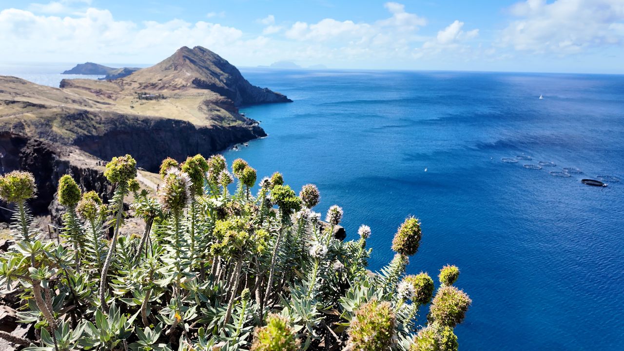 Półwysep Świętego Wawrzyńca - Madera
