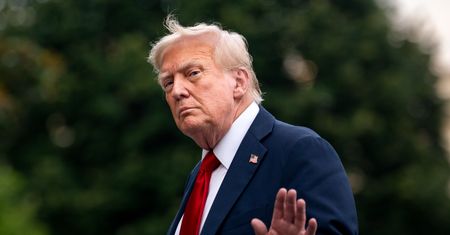Cła odwetowe UE. Bruksela szykuje uderzenie po zapowiedzi Trumpa