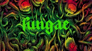 Fungae – recenzja komiksu wyd. Kultura Gniewu