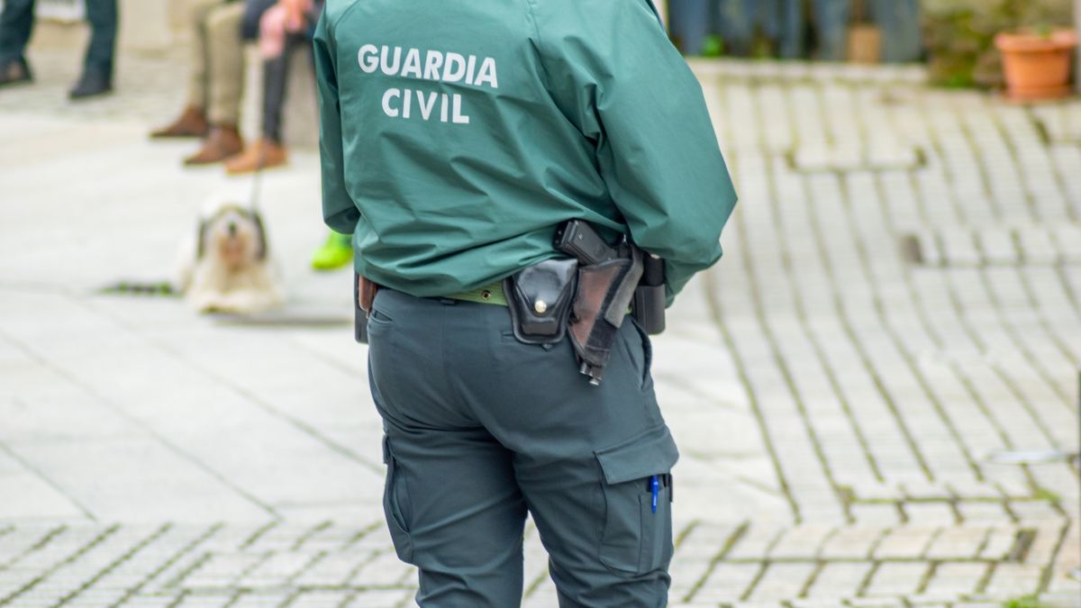 Gwardia Cywilna złapała złodziei