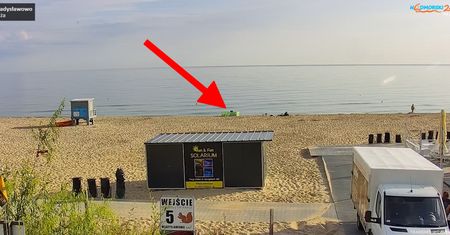 Była godzina 7:30. Zobacz, co zrobili na plaży we Władysławowie