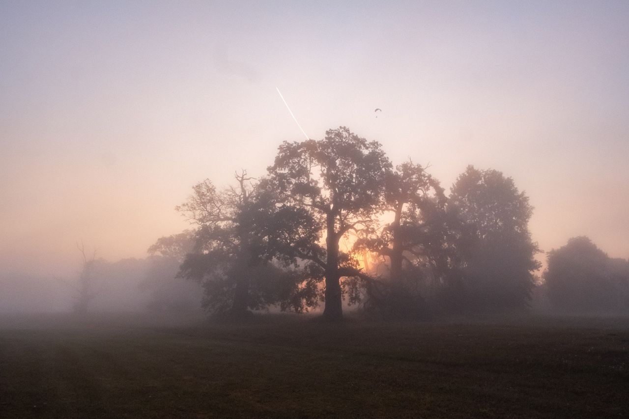 Tych miejsc z pewnością nie znałeś! To idealne miejsca na długi, jesienny spacer. Poznaj parki i rezerwaty, które zachwycają
