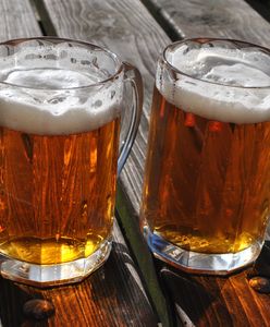 Polskie browary dostępne dla turystów. Gdzie zwiedzać fabryki piwa?