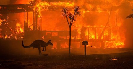 To zdjęcie jest symbolem pożarów w Australii. Pokazuje siłę żywiołu
