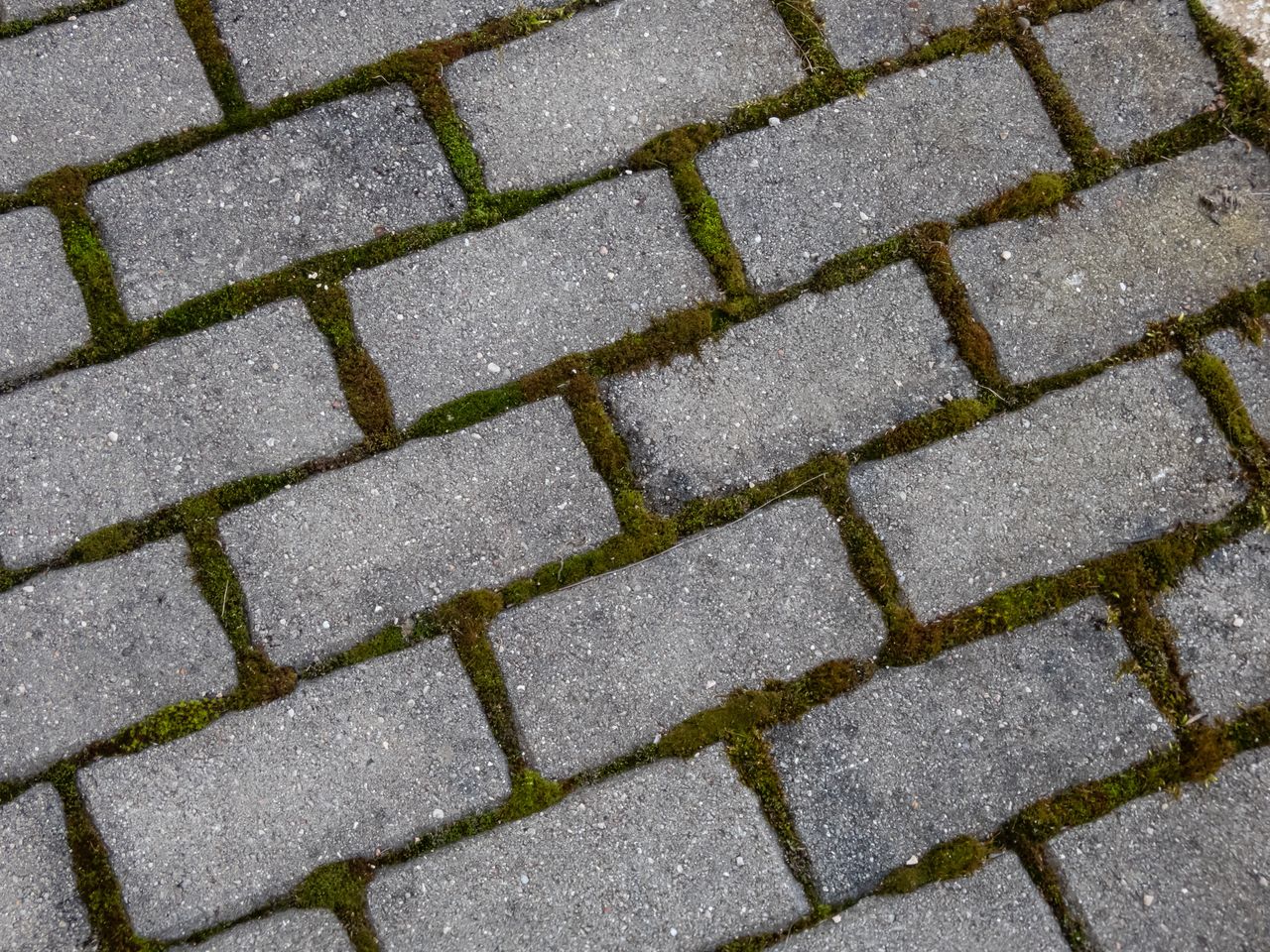 Wylej na kostkę. Dosłownie "wyżre" brud i mech