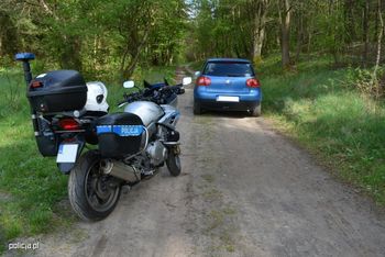 Wybierasz się autem na grzyby? Przypomnij sobie kodeks drogowy. Mandat może zaboleć