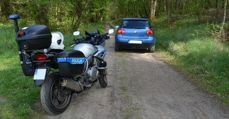 Wybierasz się autem na grzyby? Przypomnij sobie kodeks drogowy. Mandat może zaboleć