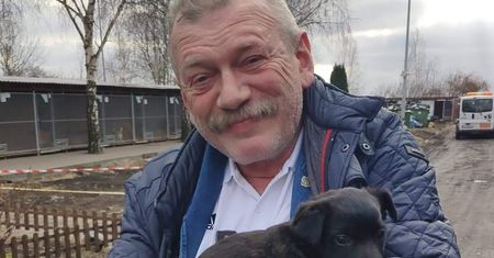 Wójt adoptował psa. Pięć dni później zwrócił go do schroniska
