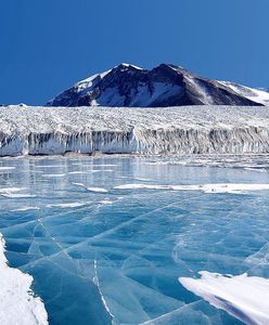 В Антарктиді зафіксували рекордно теплу зиму
