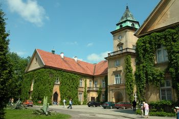 Tarnobrzeg: będzie więcej zieleni. 30 tys. zł na nowe nasadzenia