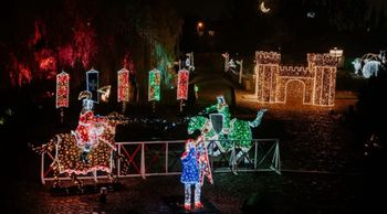 Poznań: Powraca Lumina Park. Jak najlepiej tam dojechać?