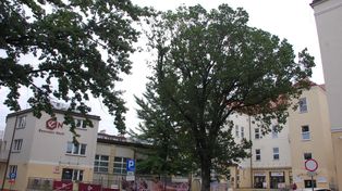 Festiwal klocków Brickowisko w Generatorze Nauki GEN w Jaśle. Dwudniowe bezpłatne warsztaty i pokazy nie tylko dla dzieci