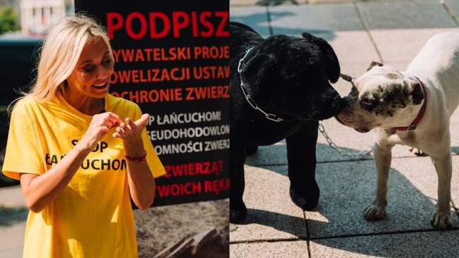 Kasia Moś zaangażowała się w obywatelski projekt nowelizacji