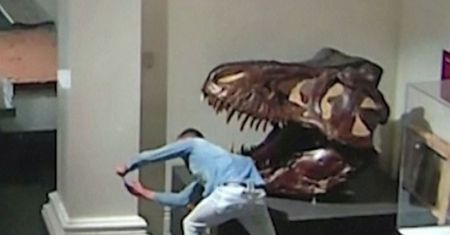Student z Niemiec włamał się do muzeum, żeby zrobić selfie z dinozaurem
