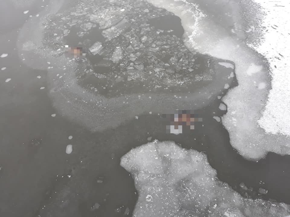 Gdańsk. Makabryczny widok pod lodem. Zdjęcia obiegły media społecznościowe
