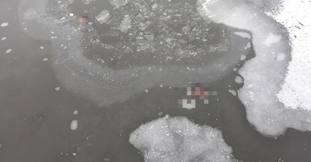 Gdańsk. Makabryczny widok pod lodem. Zdjęcia obiegły media społecznościowe