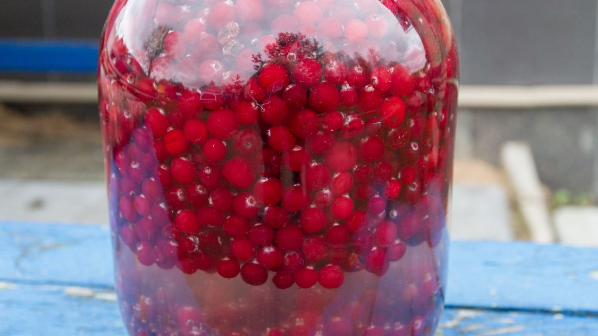 Żurawina wspiera zdrowie serca