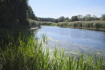 Powstanie strategia ochrony i obejmie aż 4 mln hektarów w Polsce