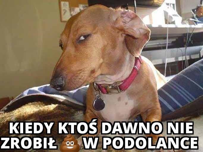 Odpłynęli a smród został - Podolanka cd.