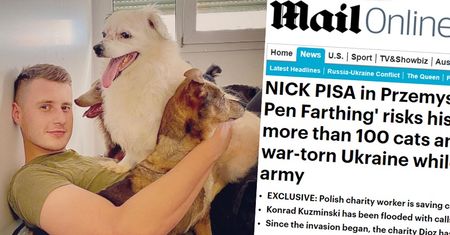 "Daily Mail" napisał o Polaku, który RATUJE porzucone PSY i KOTY w Ukrainie. "Zabieramy każde napotkane zwierzę"