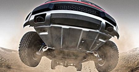 Raptor c.d.
