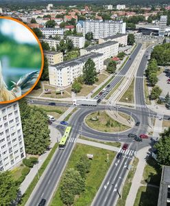Kogut budził osiedle. Po kilku dniach przyjechały służby
