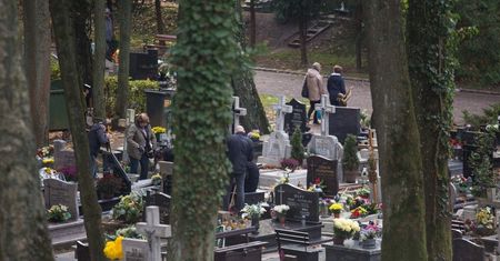 Ekologiczny pochówek zamiast tradycyjnego grobu w Słupsku? Miasto przeanalizuje taką możliwość