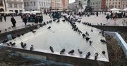 Kraków: Nowa fontanna na Rynku Głównym? W budżecie są pieniądze