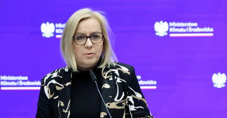Problemy z "Czystym Powietrzem". Ministra odpowiada
