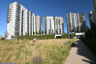 Nagły zwrot wśród deweloperów. Eksperci mówią, co to oznacza