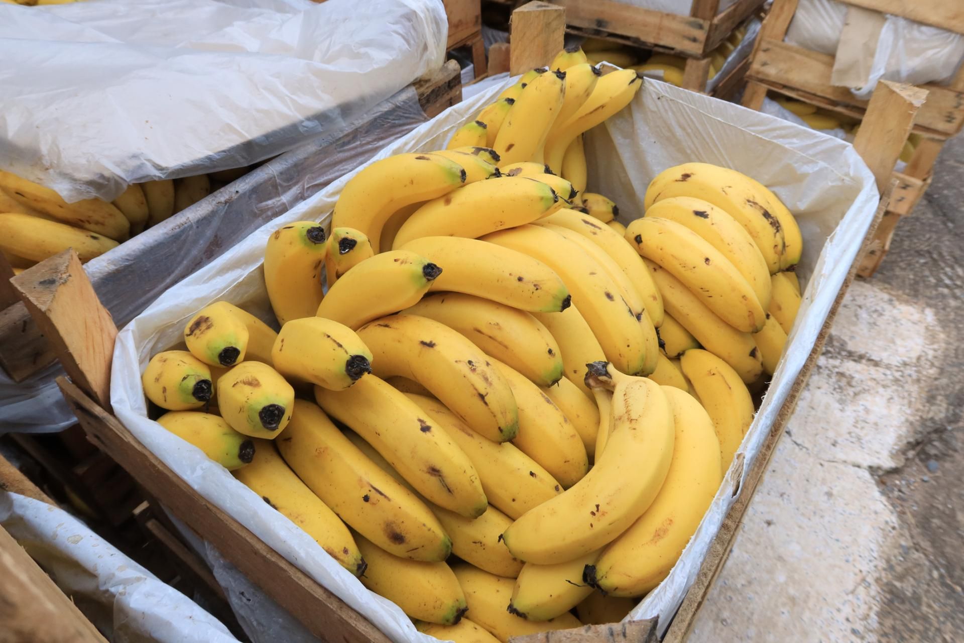 Jakie banany najlepiej kupować?