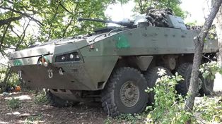 Ocenili Rosomaka z Polski. Ukraińcy przedstawili go dwoma słowami
