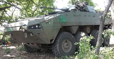Ocenili Rosomaka z Polski. Ukraińcy przedstawili go dwoma słowami